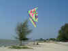 Fish Kite 2.jpg (138072 bytes)